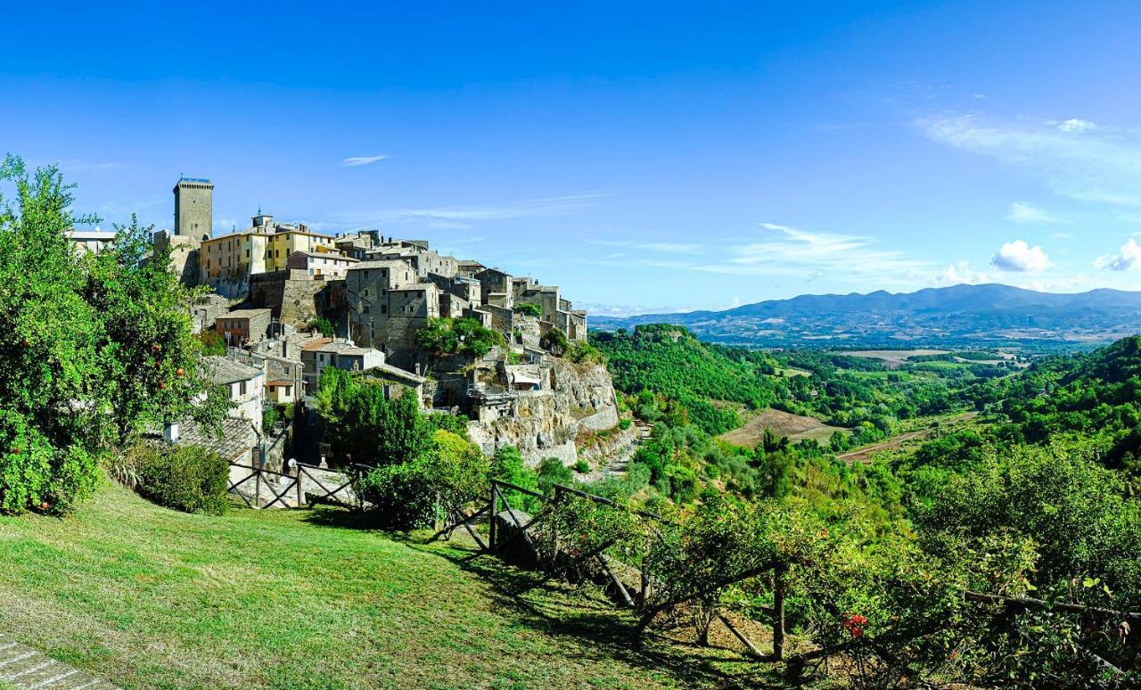 Appartement Cortile Nel Borgo à Civitella dʼAgliano Extérieur photo